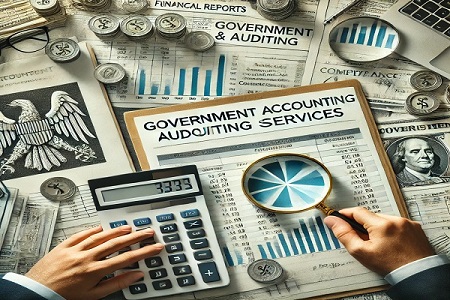 Government financial auditing and transparency